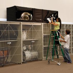 Attic Storage System