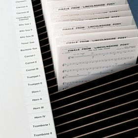 Music Sorting Rack