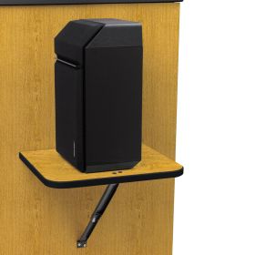 Resource Center Speaker Shelves