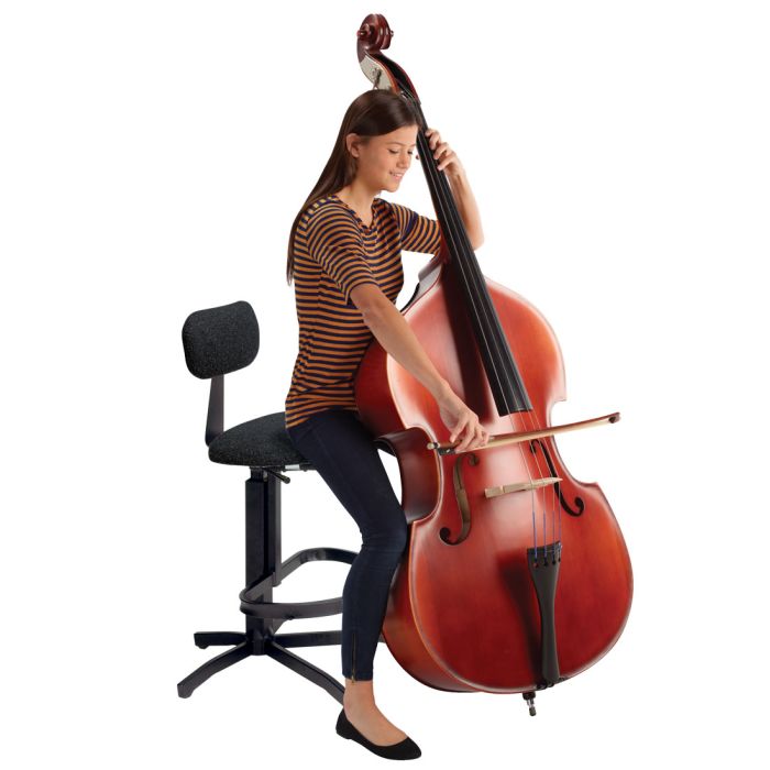 String Bassist Percussionist Chair
